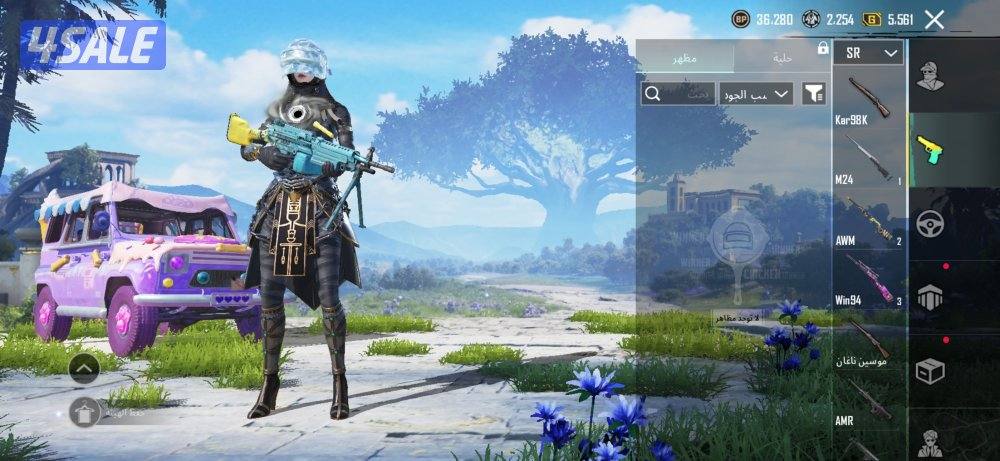 للبيع حساب ببجي6