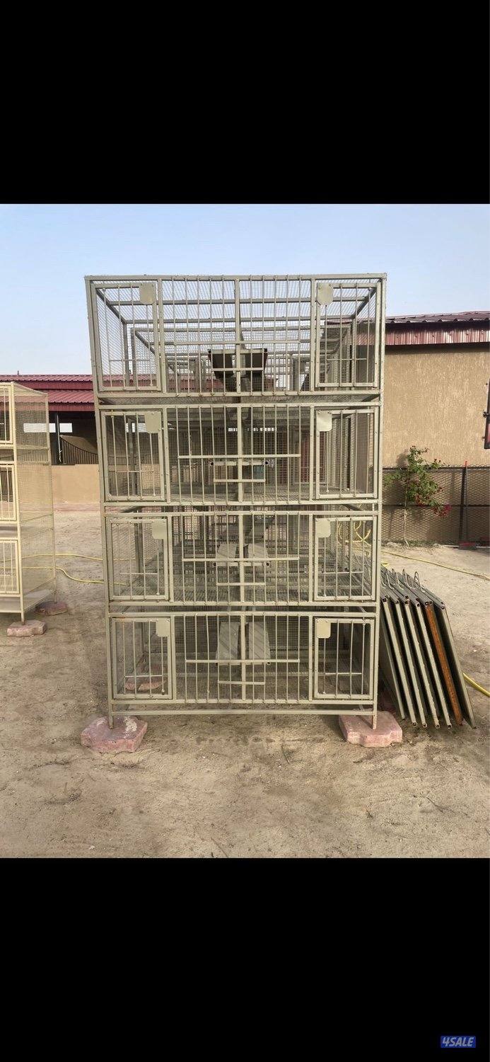 خانات طيور0