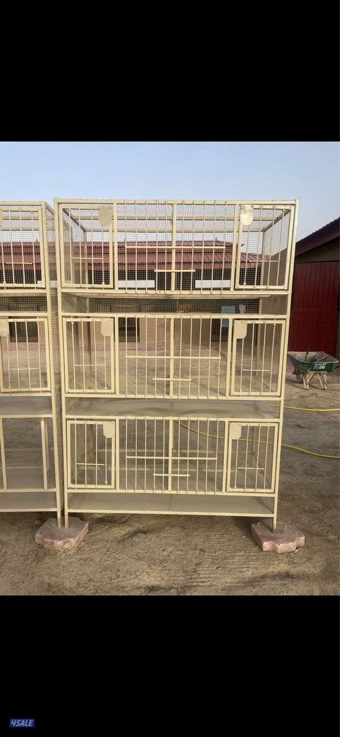 خانات طيور1