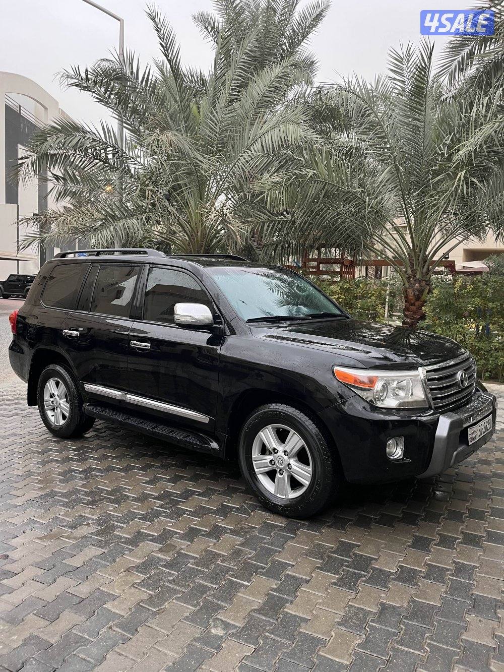 لاند٢٠١٣صبغ الوكالة3