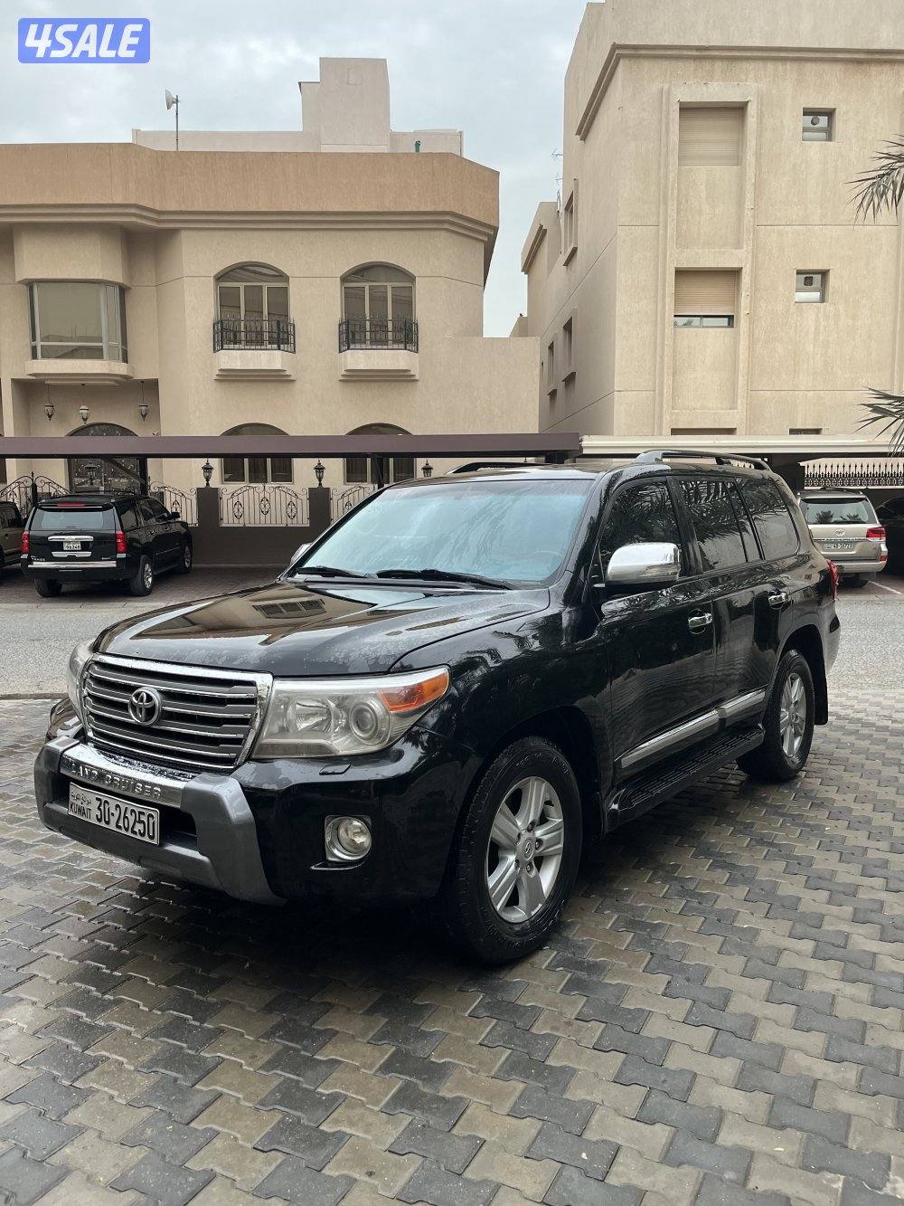 لاند٢٠١٣صبغ الوكالة0