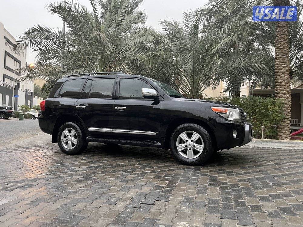 لاند٢٠١٣صبغ الوكالة6