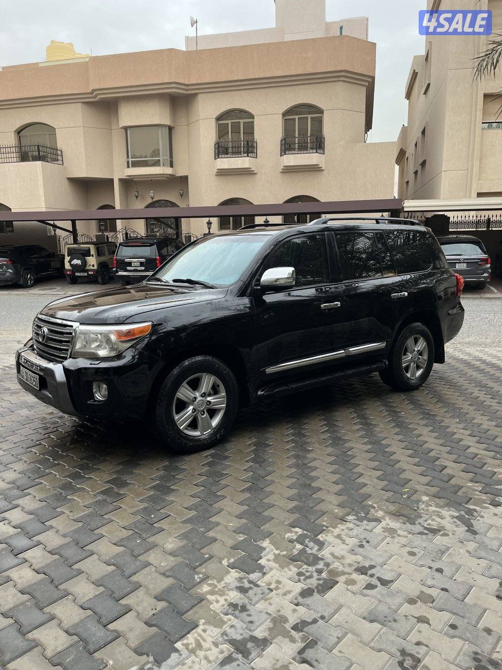 لاند٢٠١٣صبغ الوكالة8