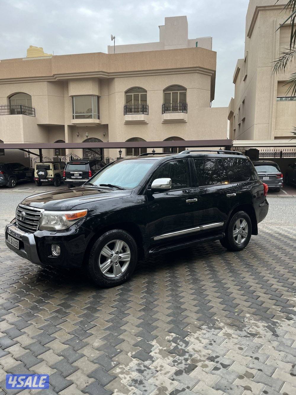 لاند٢٠١٣صبغ الوكالة9