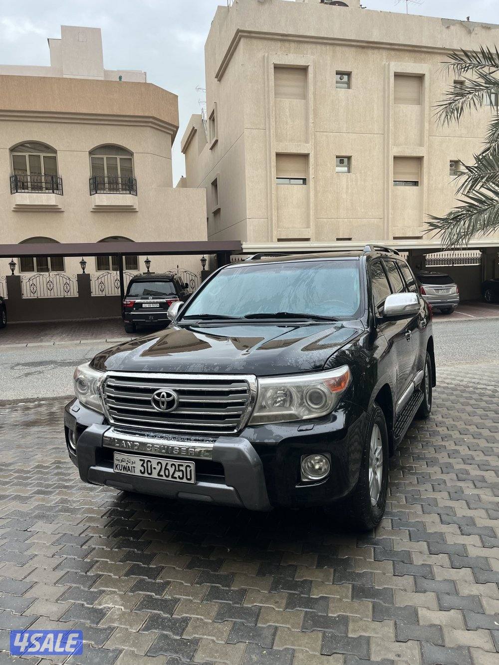 لاند٢٠١٣صبغ الوكالة11