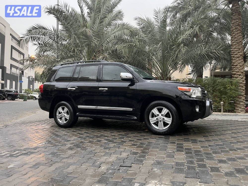 لاند٢٠١٣صبغ الوكالة12