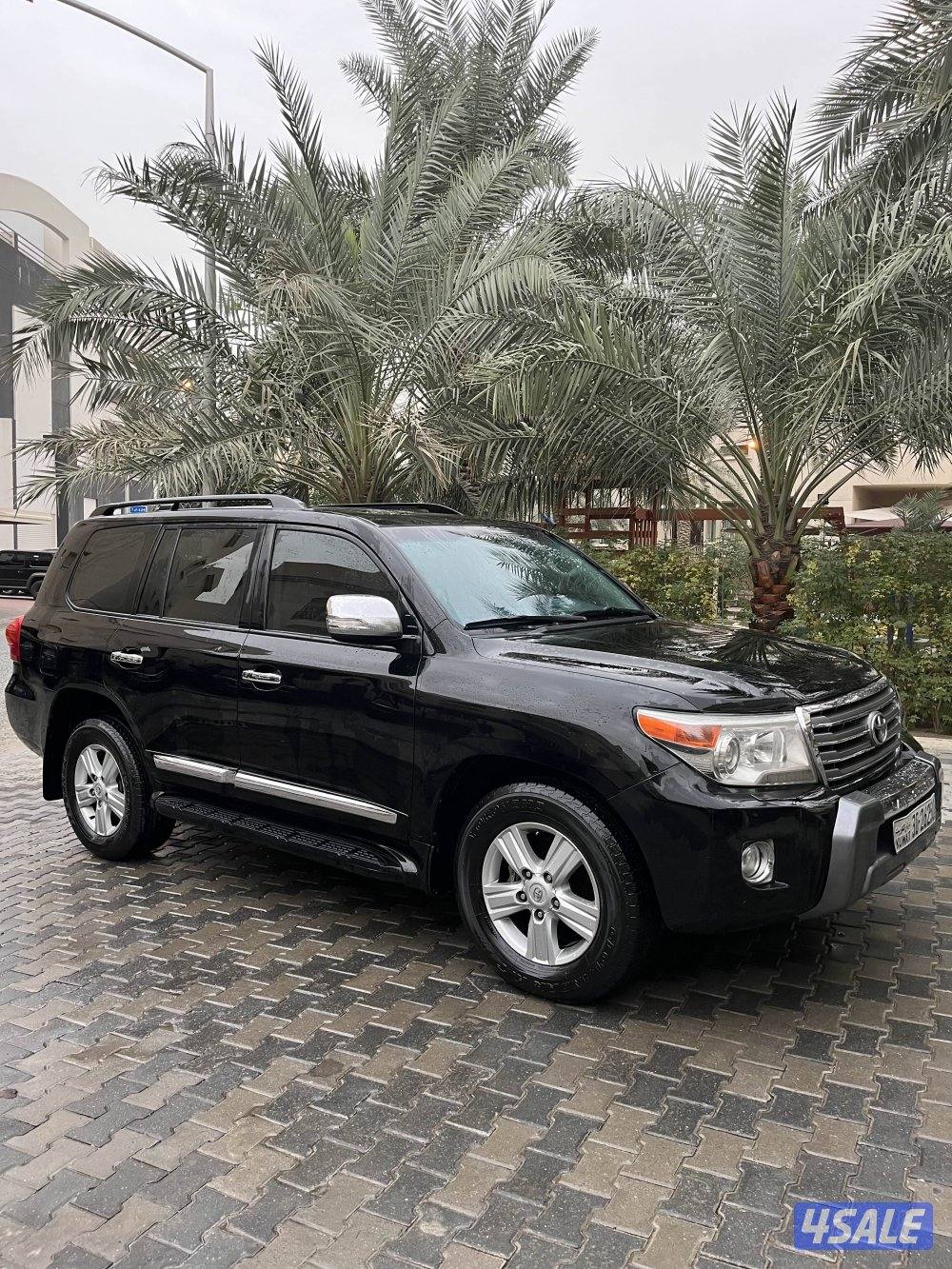 لاند٢٠١٣صبغ الوكالة13