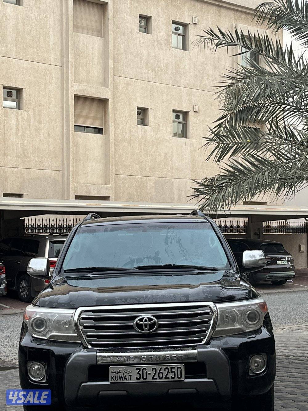 لاند٢٠١٣صبغ الوكالة14