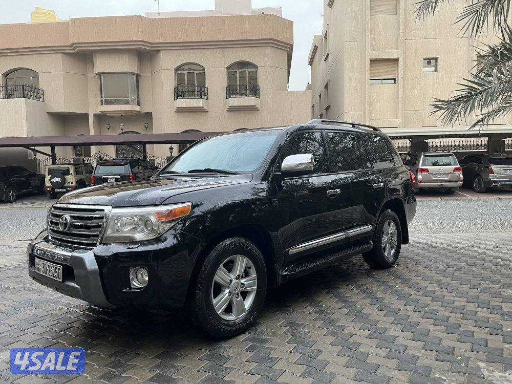 لاند٢٠١٣صبغ الوكالة15