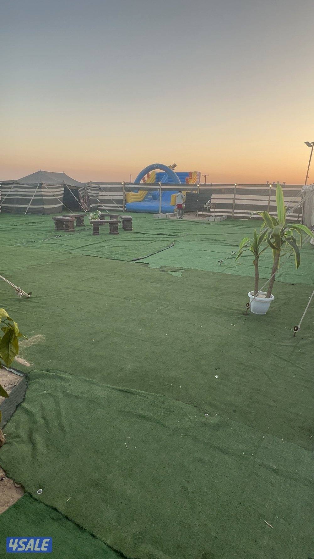 كشتة السعد للايجار اليومي7