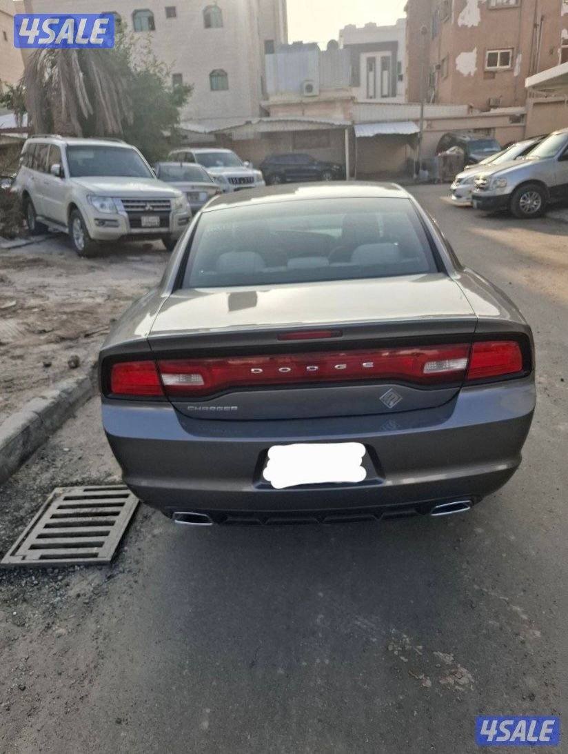 صبغ الوكاله3