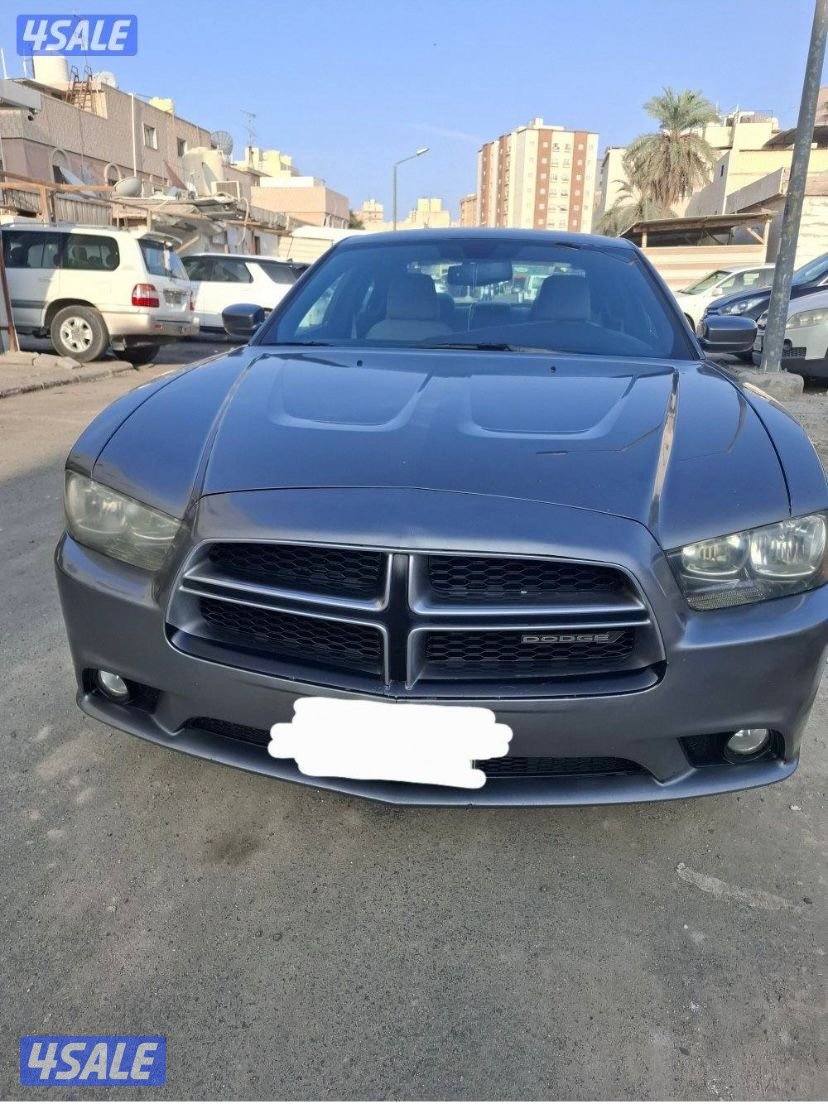 صبغ الوكاله4