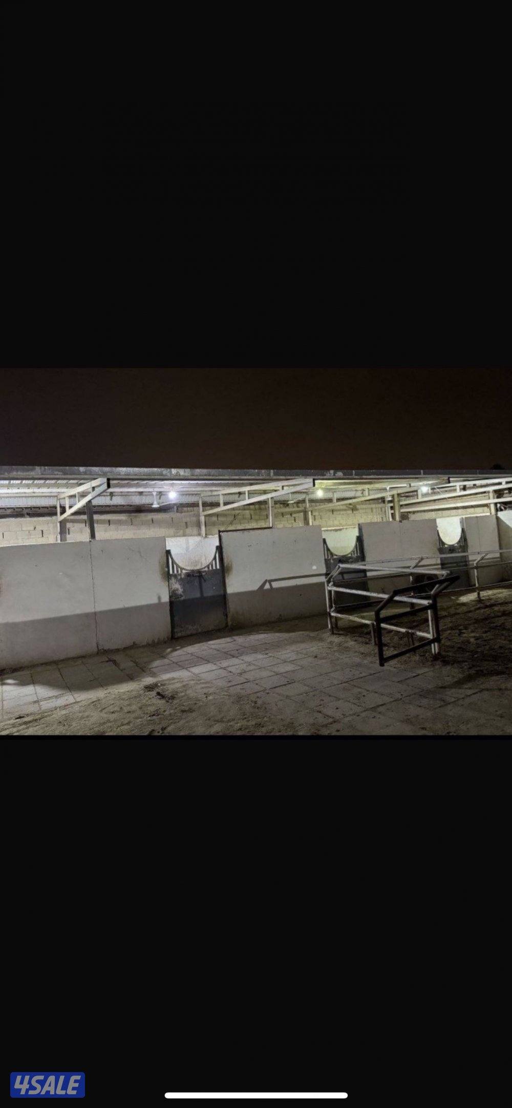 للإيجار جاخور شهري0