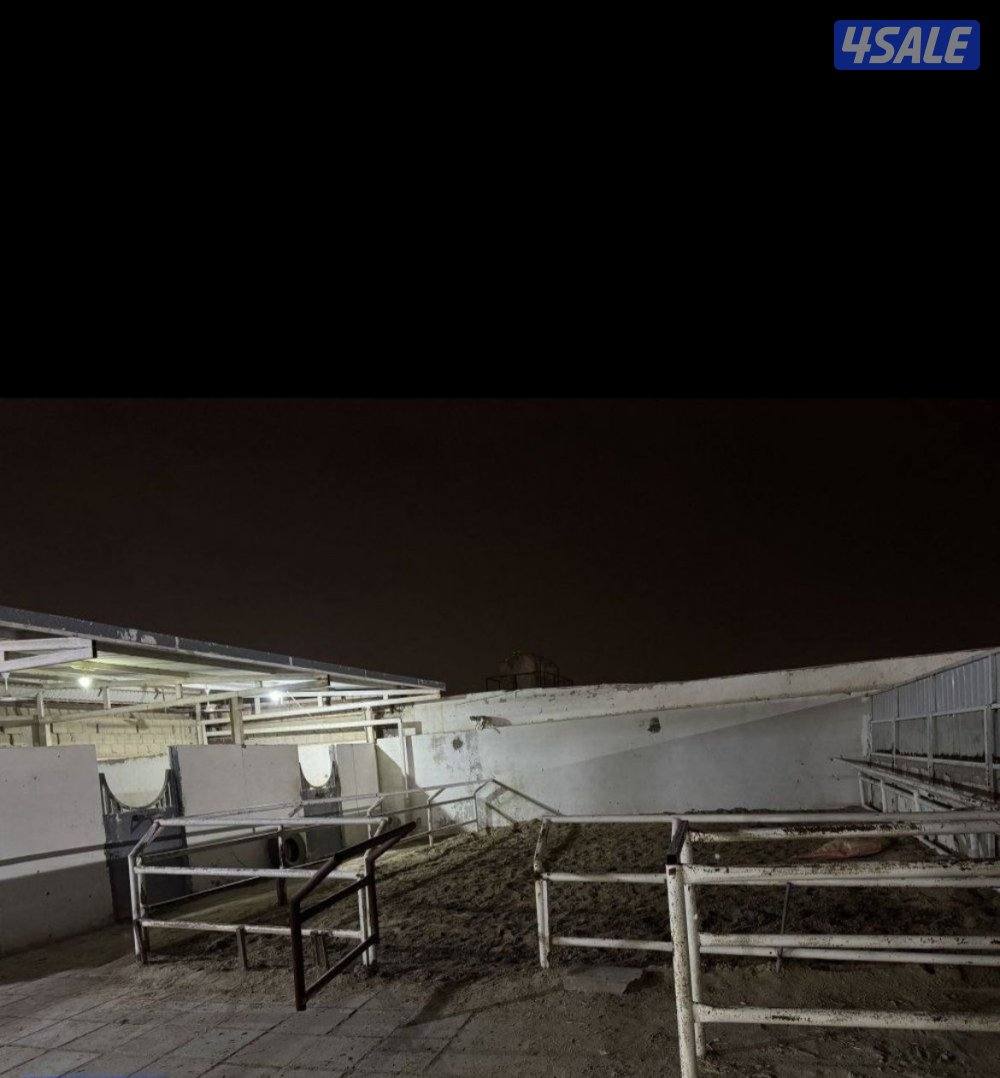 للإيجار جاخور شهري1