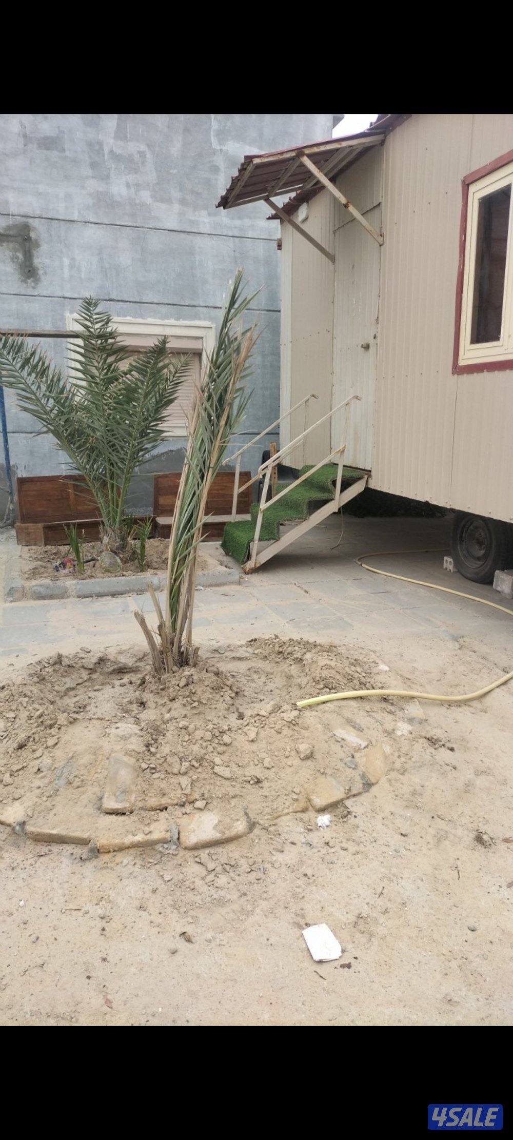 شاليه 6*4 سحب بكامل الاثاث2