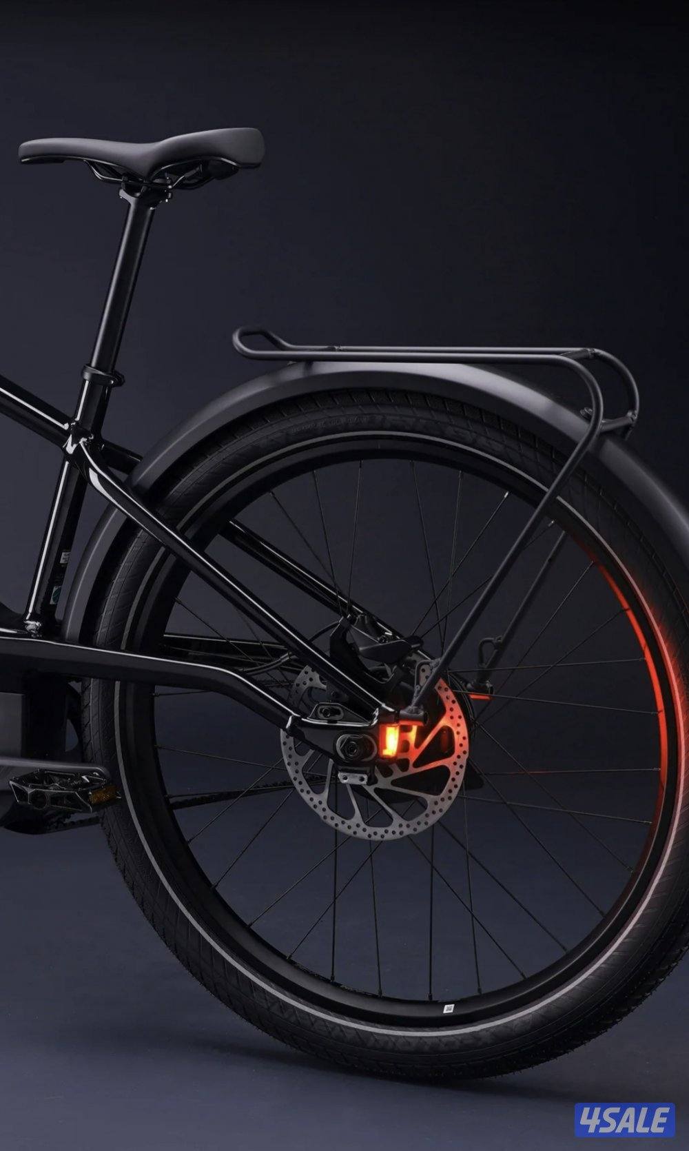 Harley-Davidson Serial 1 Rush/Cty e bike3