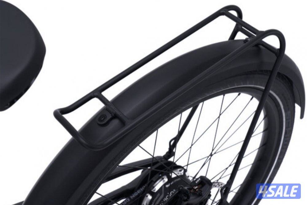 Harley-Davidson Serial 1 Rush/Cty e bike4