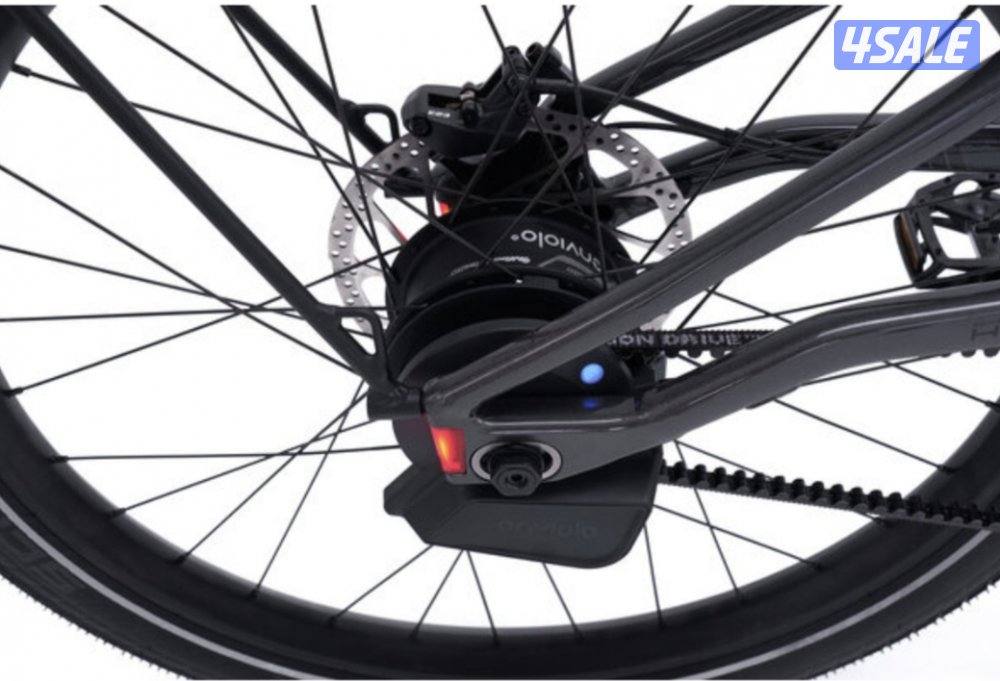 Harley-Davidson Serial 1 Rush/Cty e bike5