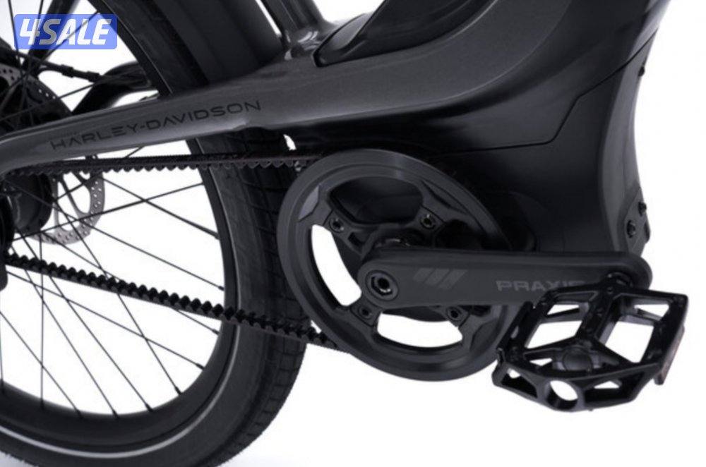 Harley-Davidson Serial 1 Rush/Cty e bike6