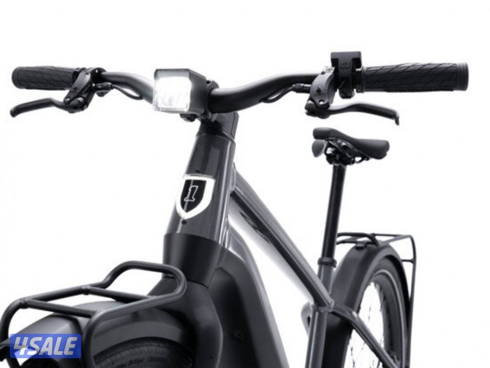 Harley-Davidson Serial 1 Rush/Cty e bike7