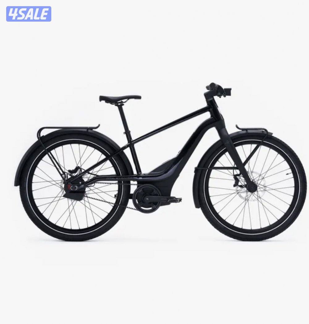 Harley-Davidson Serial 1 Rush/Cty e bike9