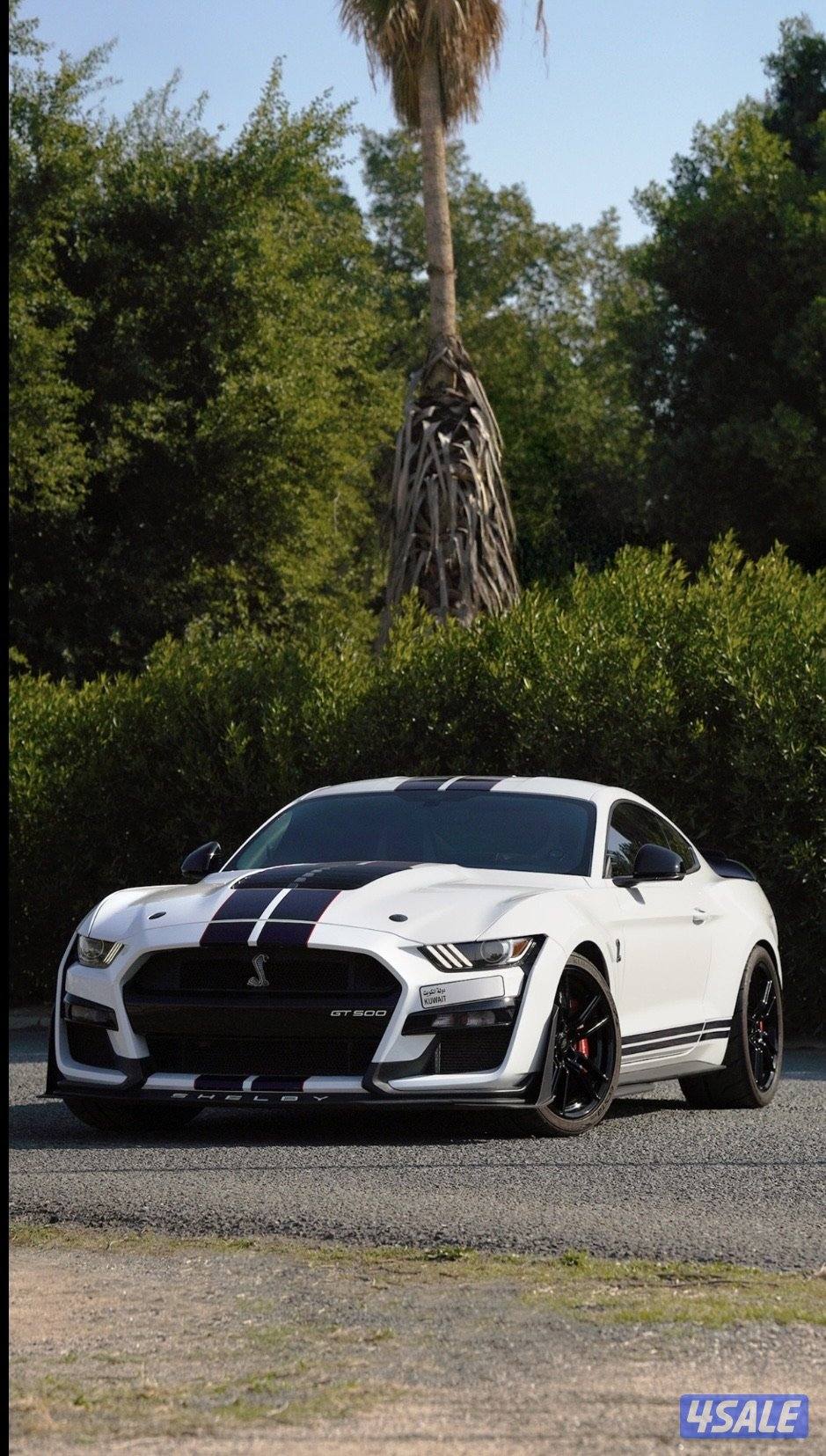 موستنق شلبي جي تي 5000