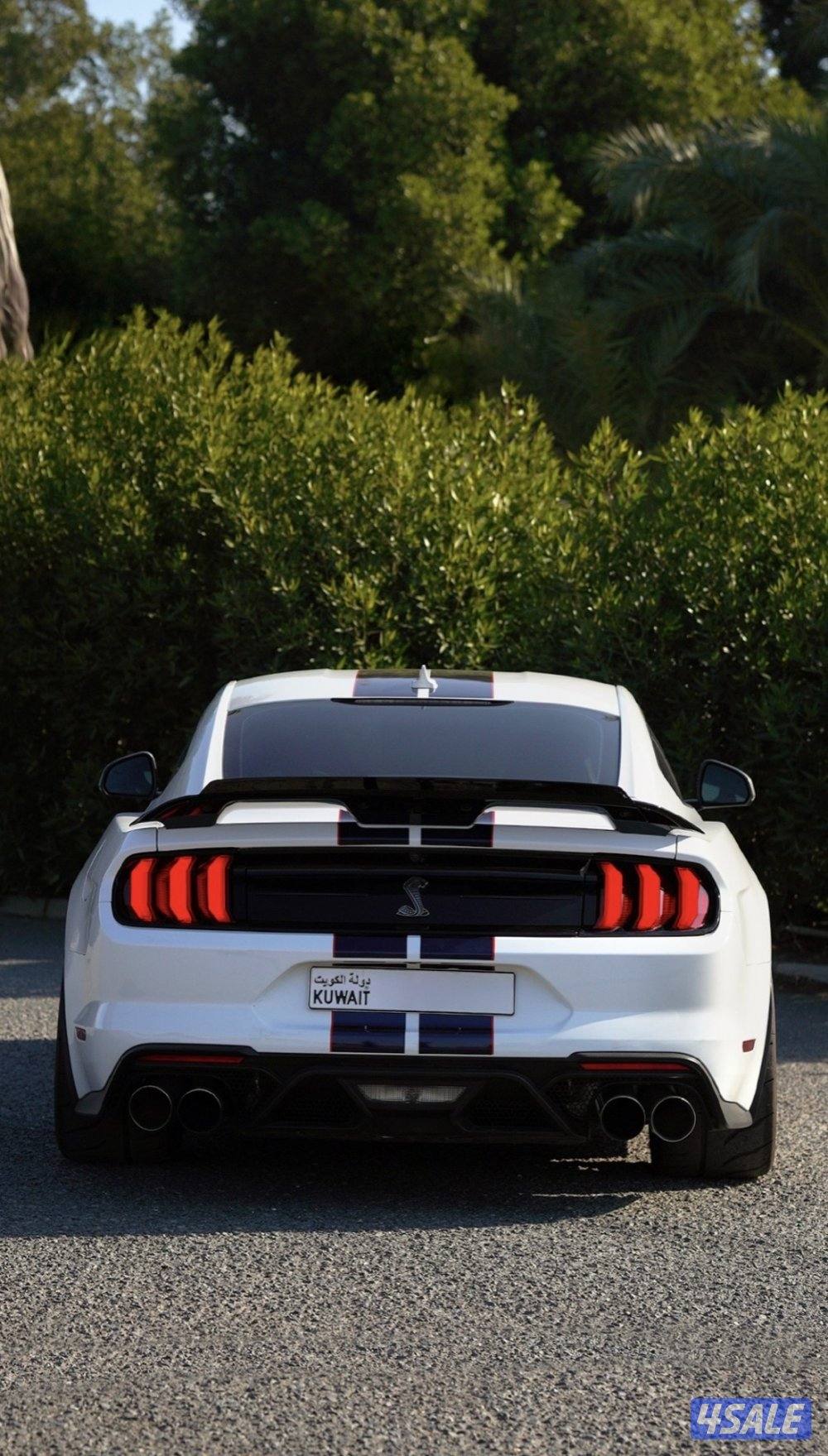 موستنق شلبي جي تي 5002