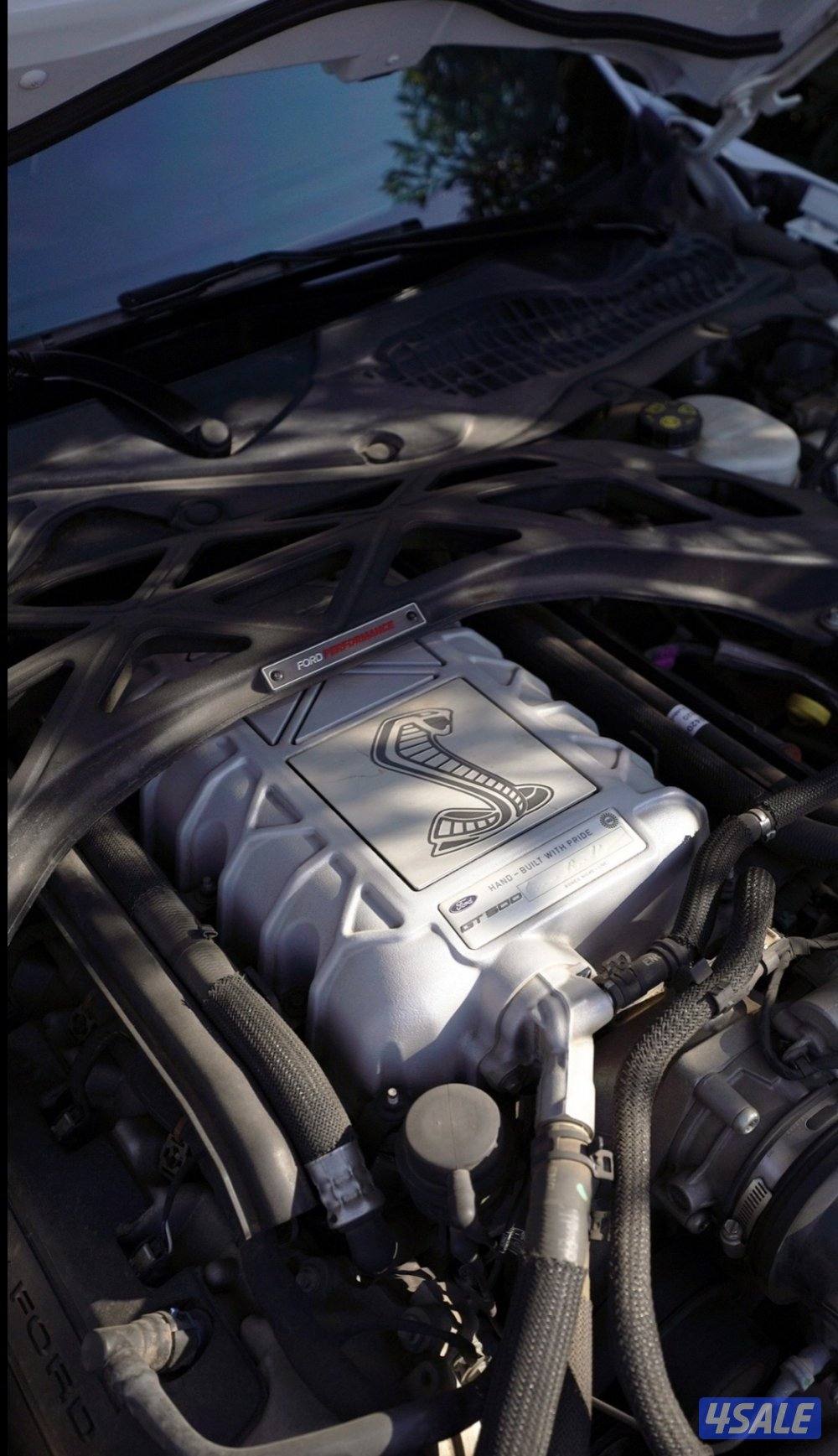 موستنق شلبي جي تي 5005