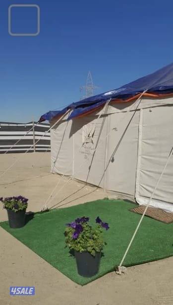 مخيم توته النسائي🌹🦌😘11