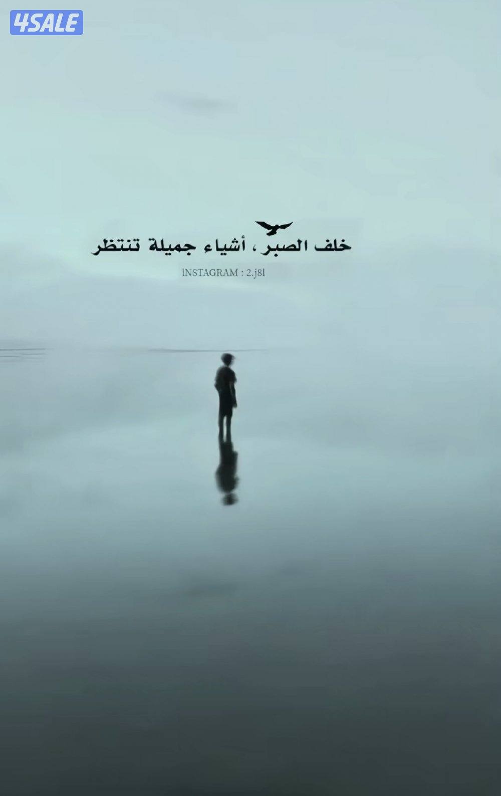 ابحث عن عمل مندوب مخلص معاملاتا0