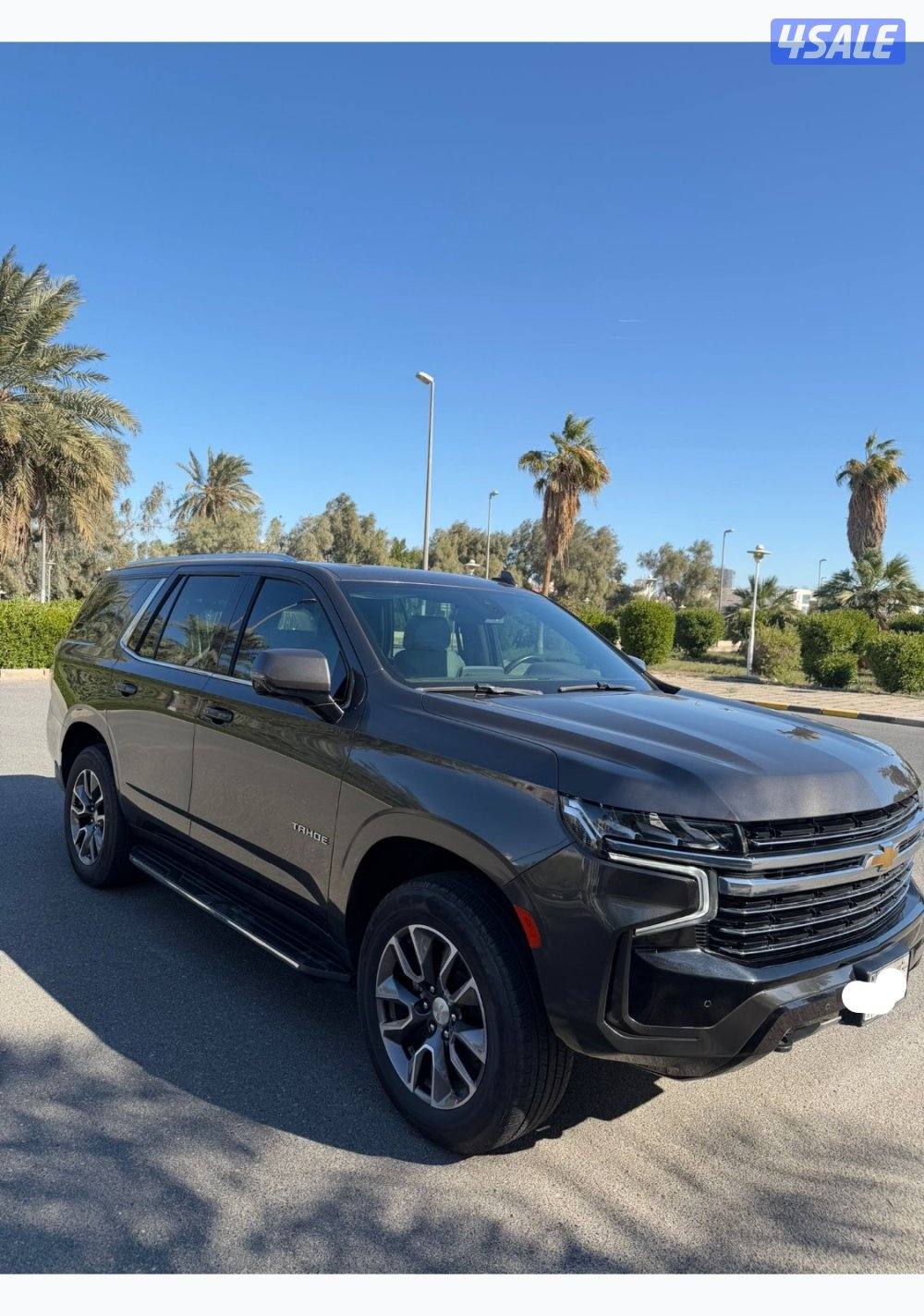 للبيع سقنجر- صبغ وكاله - عداد ٥٣الف1