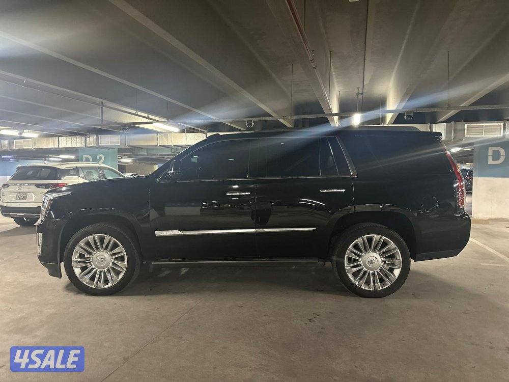 الشرق شارع خالد بن الوليد1