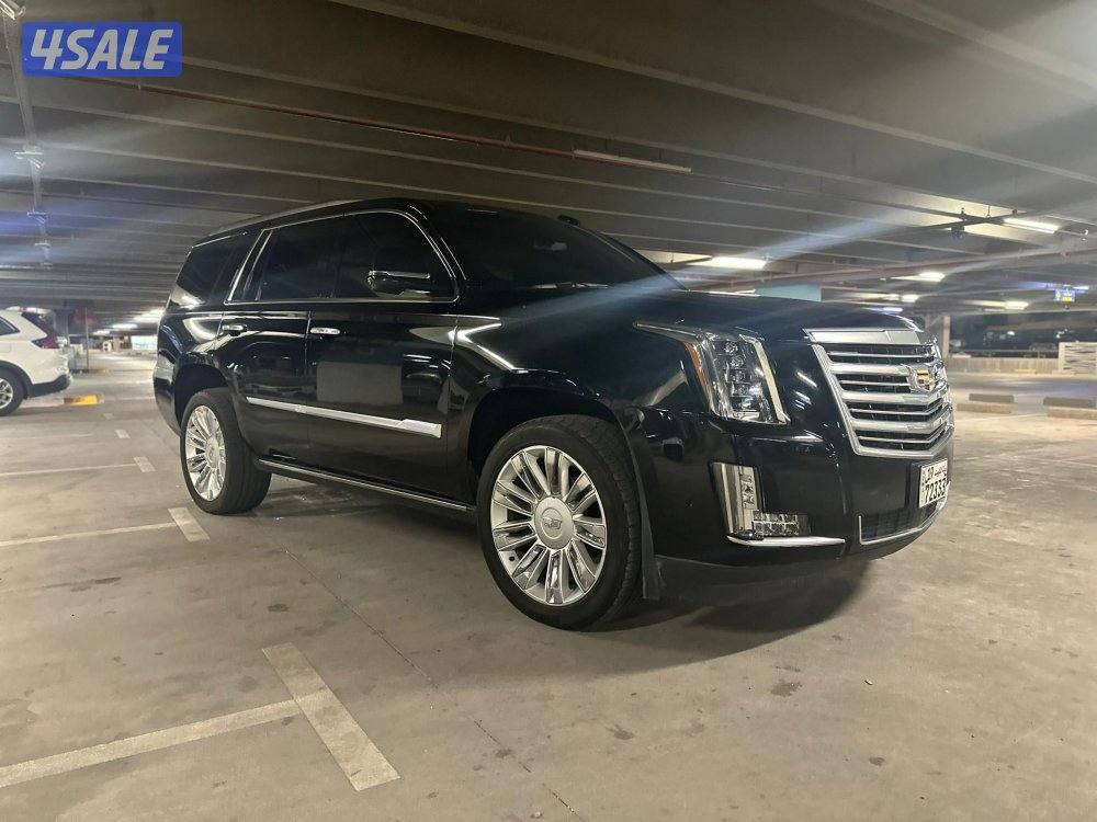 الشرق شارع خالد بن الوليد2