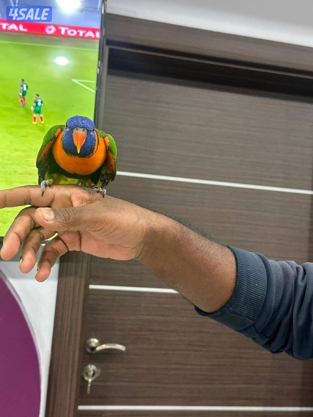 للبيع لوري ريمبو1