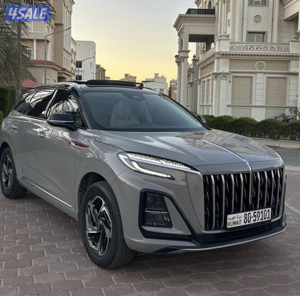 هونشي HS3 2025 للبيع - واد الغانم - تحت الكفالة1