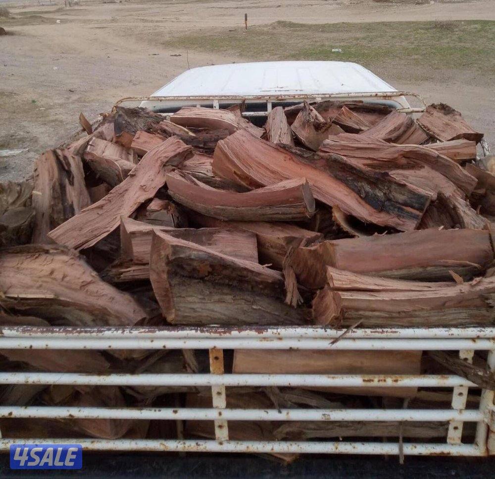 للبيع حطب صفصااف1