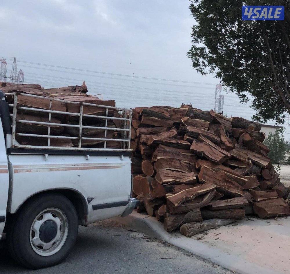 للبيع حطب صفصااف0