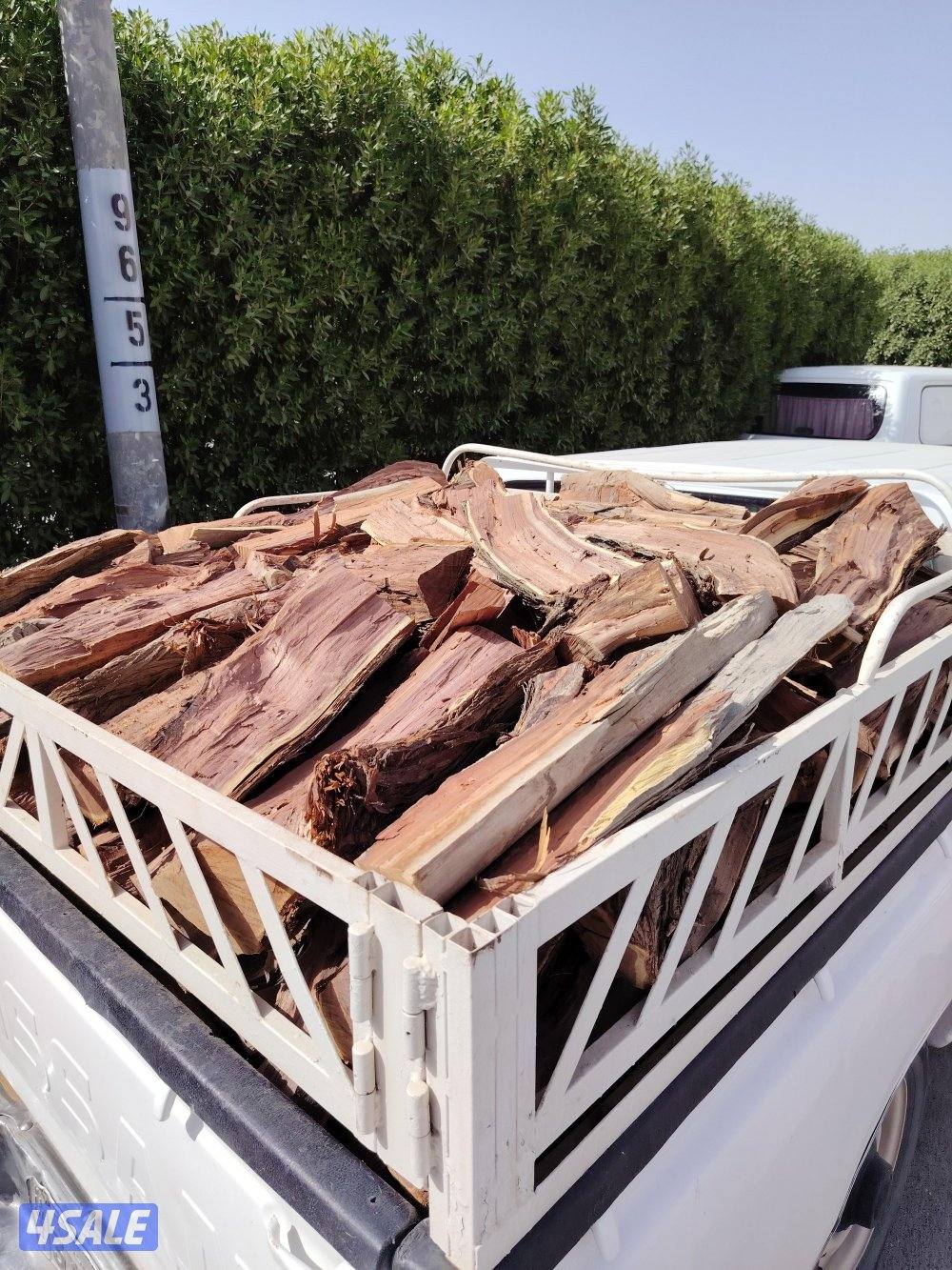 للبيع حطب صفصااف4