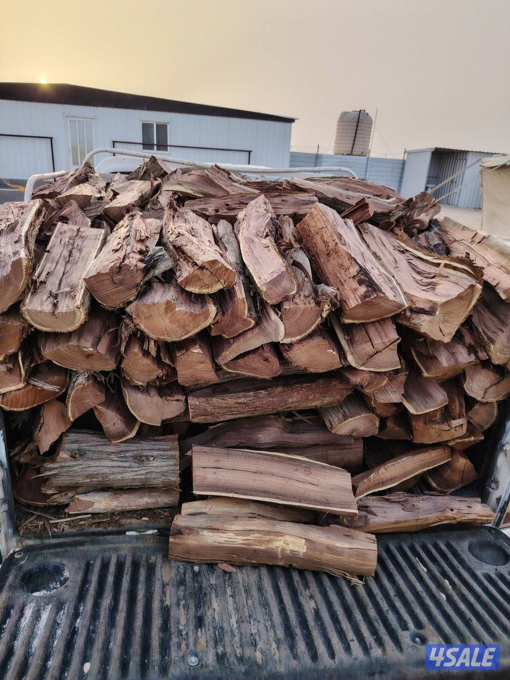 للبيع حطب صفصااف5