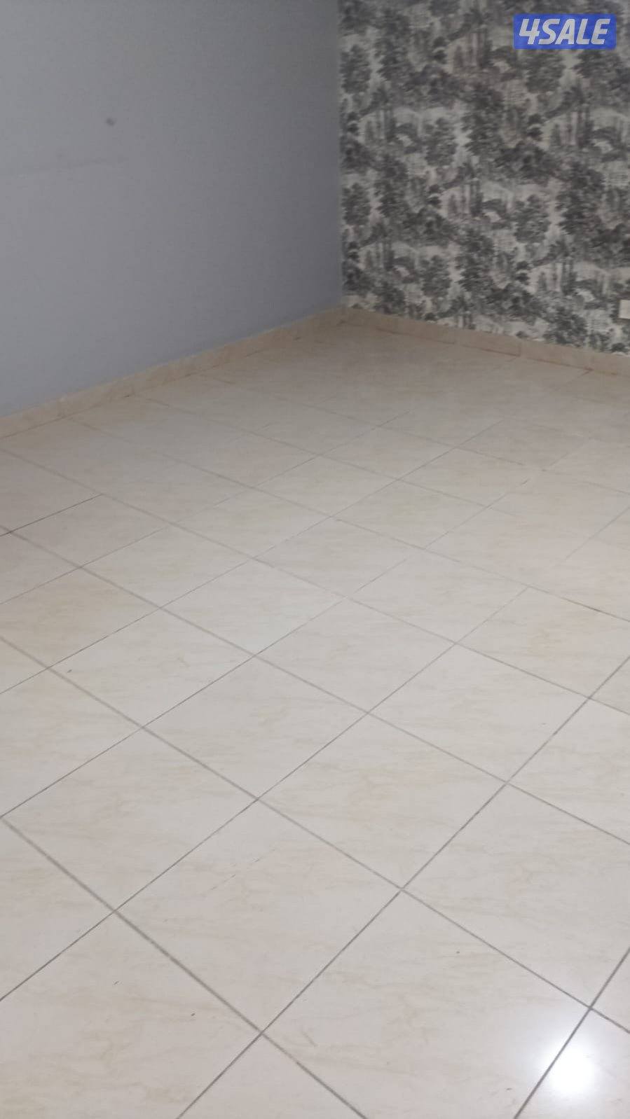 للايجار دوبلكس غرفة وصالة0