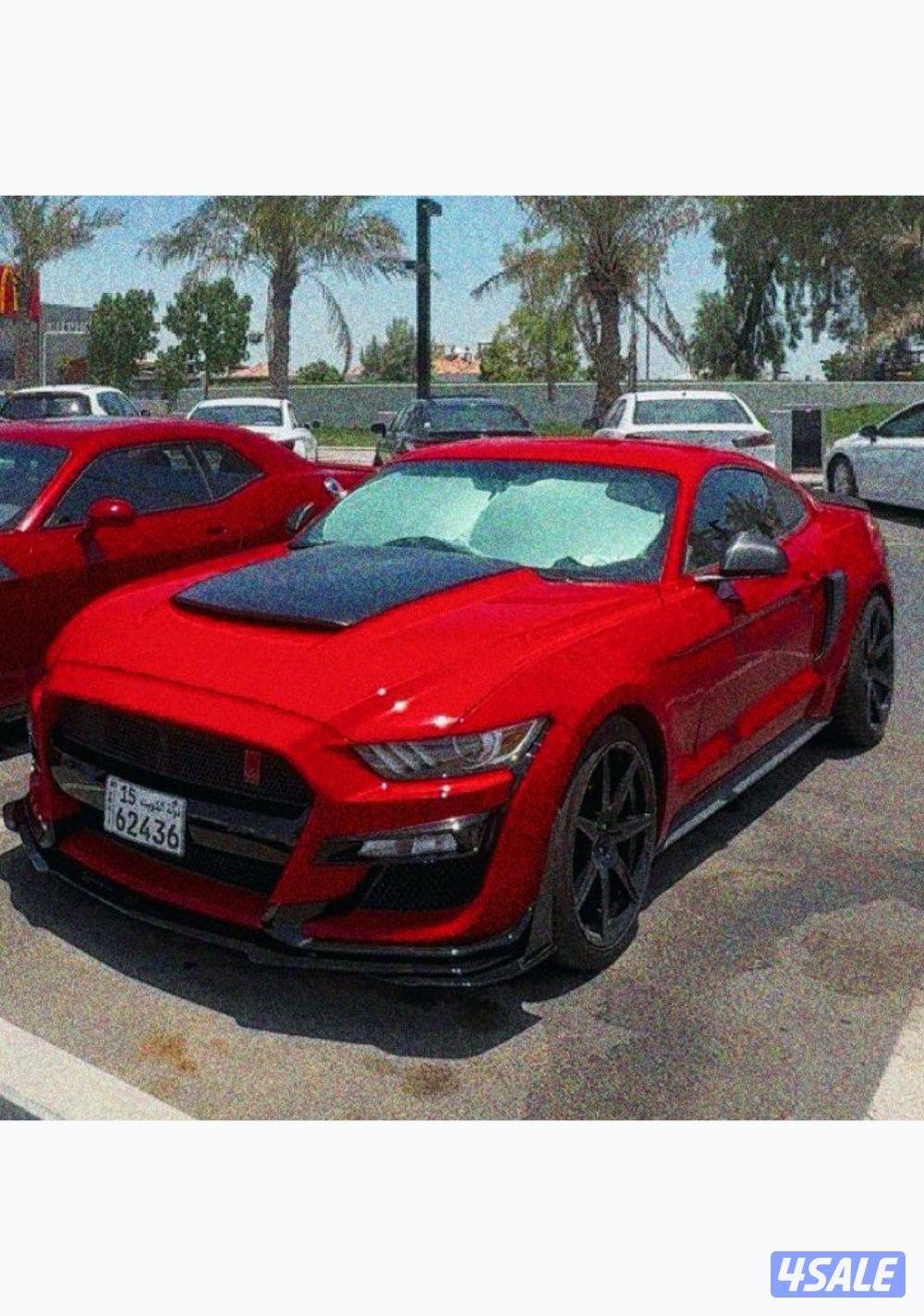 موستنق ٢٠١٧0