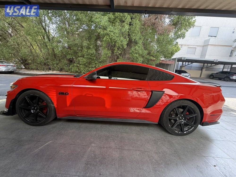 موستنق ٢٠١٧2