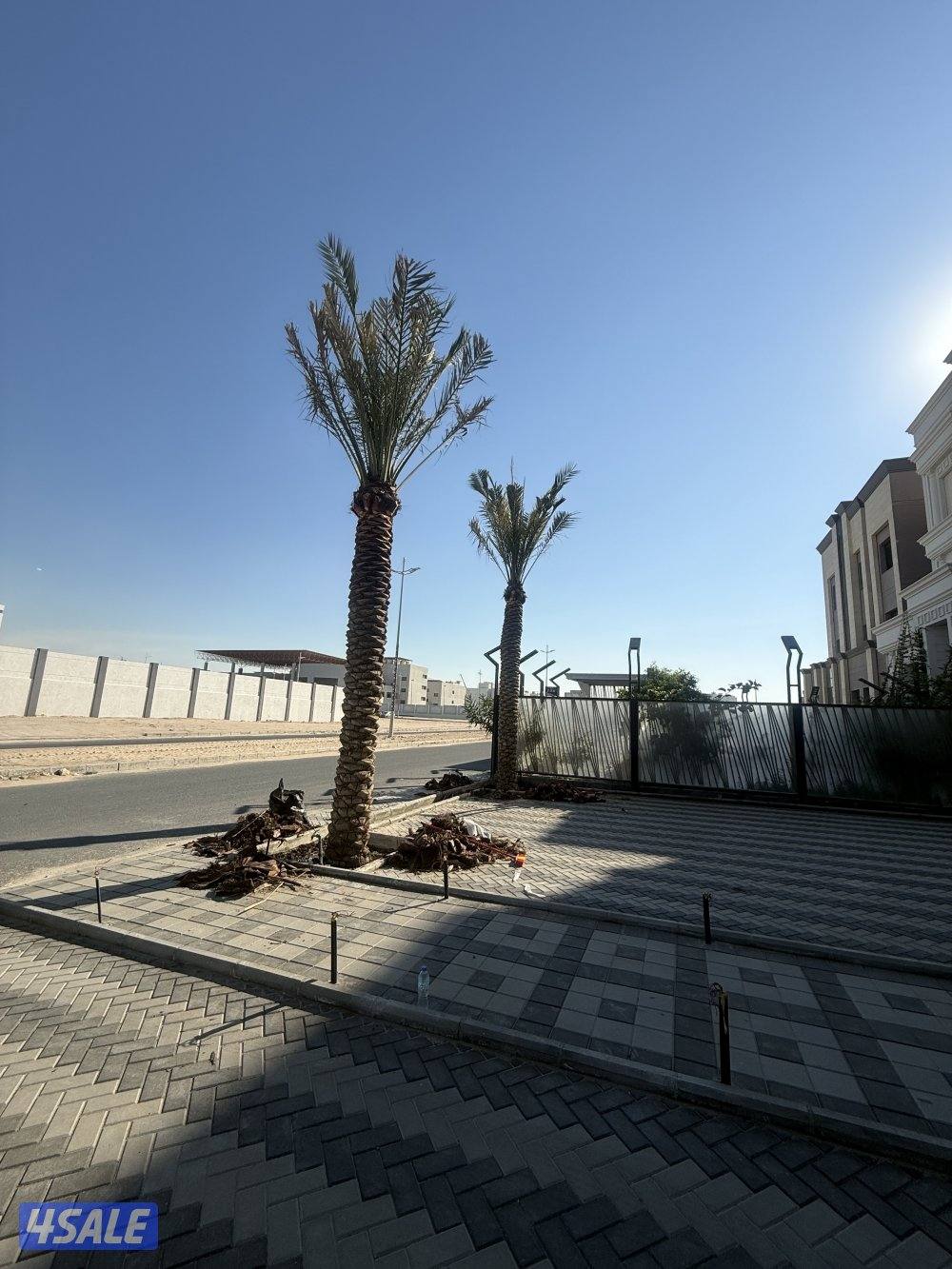 بيع وشراء جميع نخيل شيل وزراعه تكريب وتنظيف شيل اشجار تنسيق حدائق1