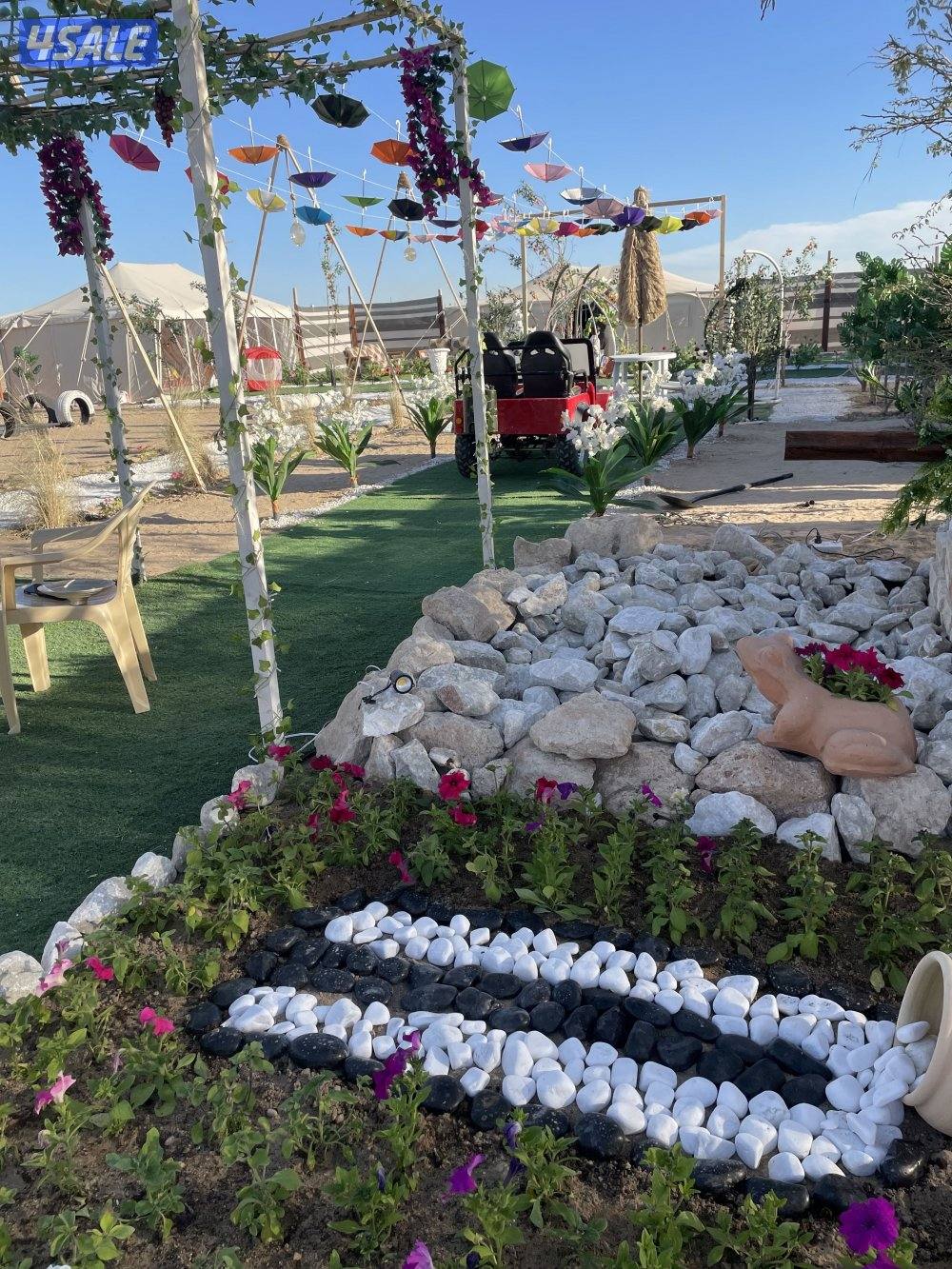 تاجير مخيم بالمطلاع كيلوصفر قريب من الخدمات مخيم VVib10