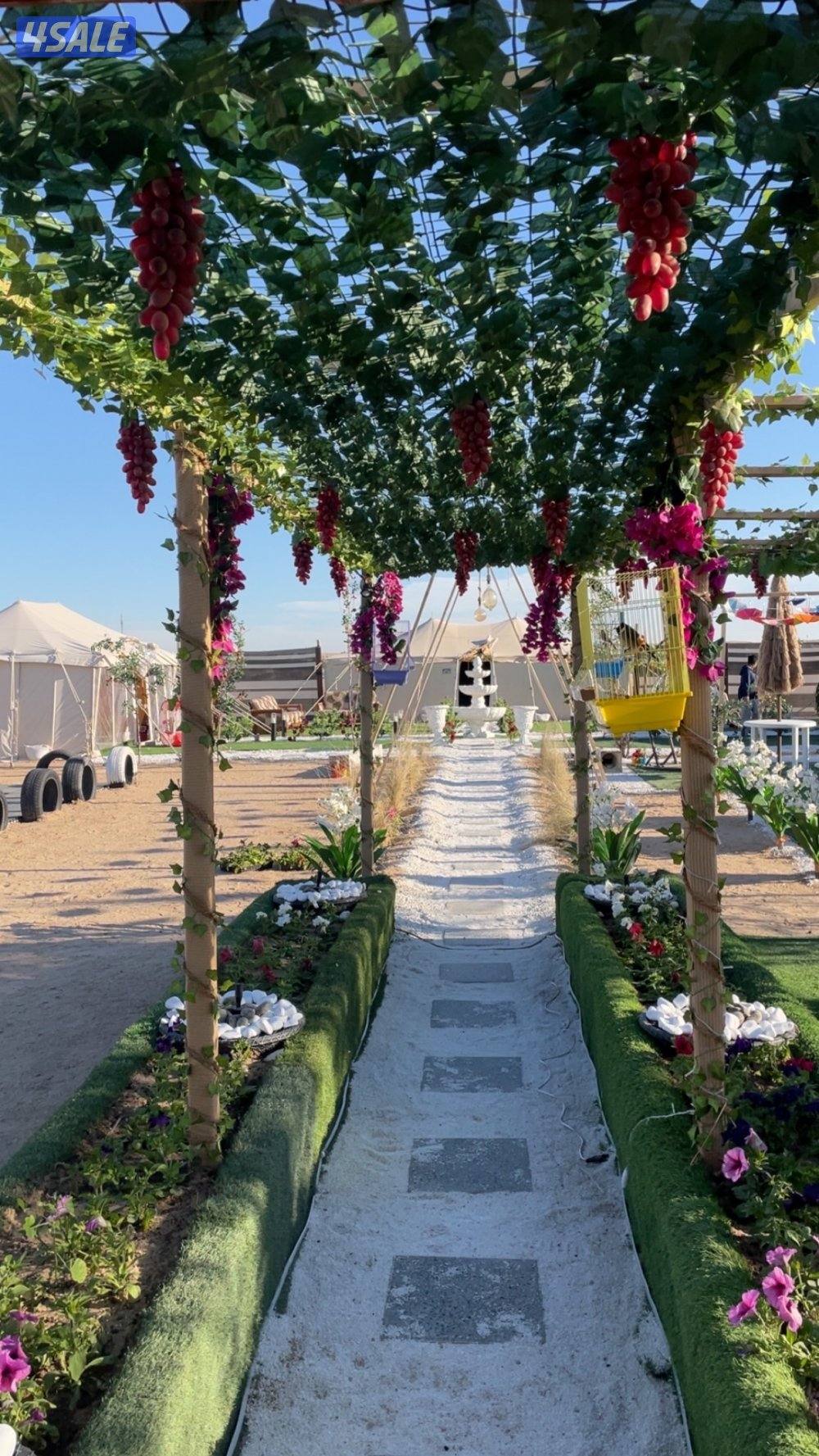 تاجير مخيم بالمطلاع كيلوصفر قريب من الخدمات مخيم VVib14