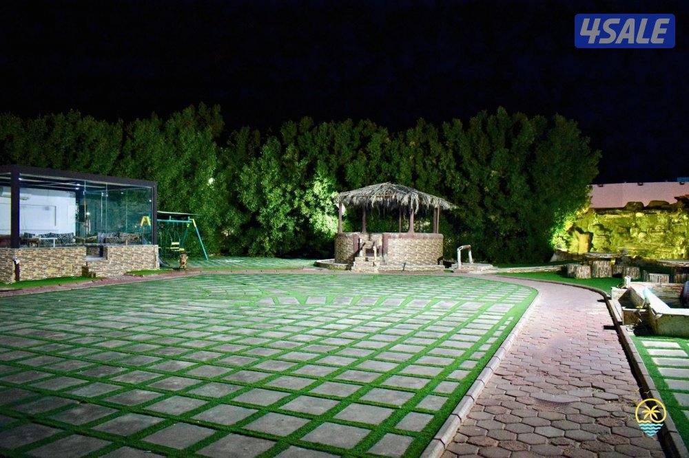 للايجار مخيم + استراحه13