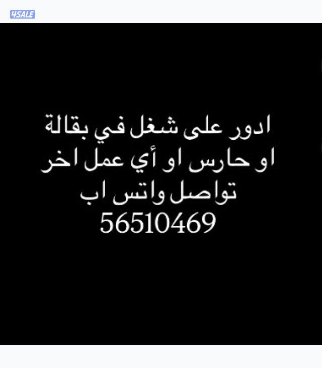 باحث عن عمل0