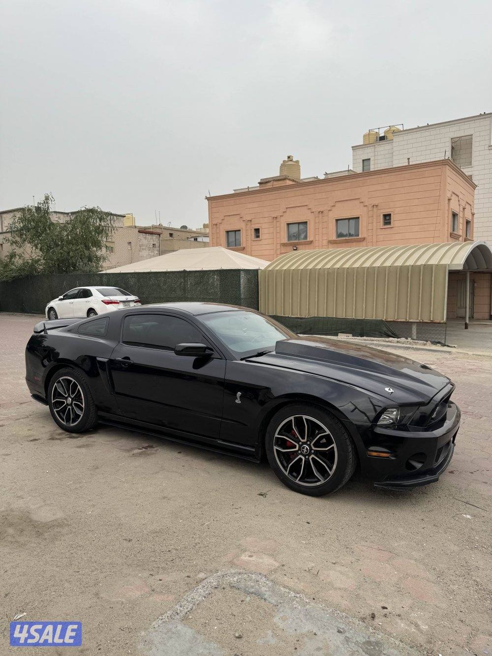 للبيع موستانج 8 سلندر1