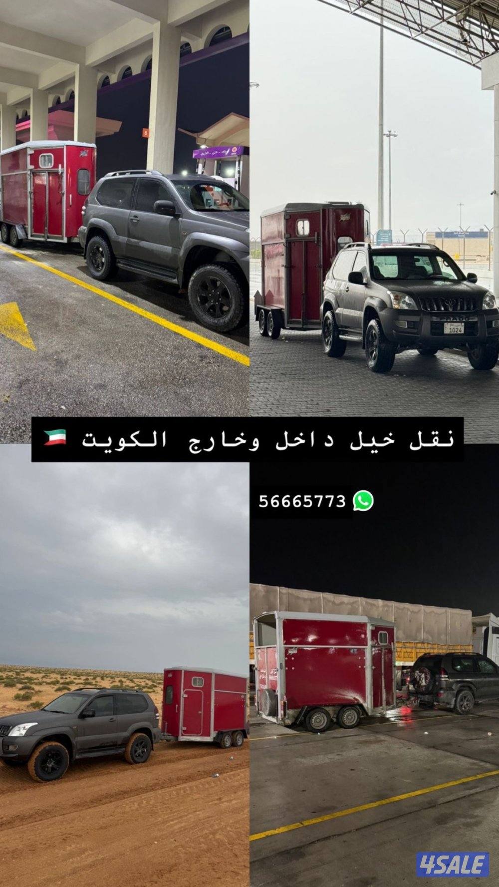 نقل خيل 🚚🚚0