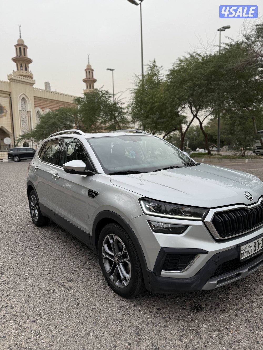 سكودا اعلي درجة STYLE عداد 90 صبغة الوكالة13